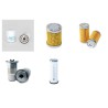 BELLE 730 Filter Service Kit w/Perkins Shibaura Eng. Air, Oil, Fuel Filters