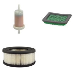 BELLE GROUP RTX 68 Filter Service Kit withHonda G 100 Eng 2012-