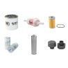 BERGMANN 2035 Filter Service Kit withKubota V 2203 Eng