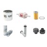 BERGMANN 2035 B Filter Service Kit withKubota V 1703 Eng