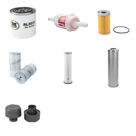 BERGMANN 2035 S Filter Service Kit withKubota V 2203 Eng