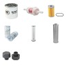 BERGMANN 2035 S Filter Service Kit withKubota V 2203 Eng