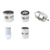 Bobcat 313 Filter Service Kit