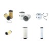 BOBCAT T 35100 Filter Service Kit Air Oil Fuel Filters w/Perkins 1104C-44T Eng.