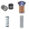 BOMAG BW 85 (T/TR) Filter Service Kit w/Deutz F1L210D Eng.