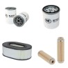 Filter kit for Case Poclain W 252 with Hatz Engine