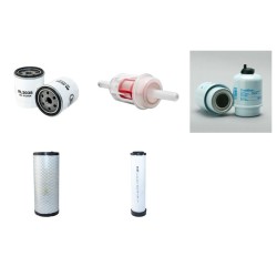 Filter service kit suitable for CAT 242B - 242B-2 - Air Oil