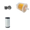 CORMIDI 100 Filter Service Kit with Lombardini Eng