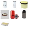 DIECI AGRIMAX 65.8 VS Filter Service Kit w/FPT N45 Eng.   YR  2014