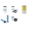 DIECI F 7000 Filter Service Kit w/Iveco Eng.