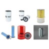 DIECI ICARUS 40.14 Filter Service Kit w/Iveco Eng.   YR  2011-