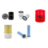 DIECI PEGASUS 40.17 Filter Service Kit Air Oil Fuel Filters w/Deutz BF 4M2012C Eng.