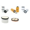 DIECI PEGASUS 50.21 Filter Service Kit Air Oil Fuel Filters w/Perkins Eng.