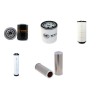 DOMINE DCH 204 Filter Service Kit w/Deutz Eng.