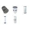 Filter Kit for Doosan 460  with Daewoo D430 Engine