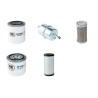 Filter Kit for Doosan LSV9  with Kubota D1105Bg Engine
