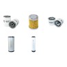 EUROCOMACH ES 50 ZT Filter Service Kit Air Oil Fuel Filters w/Kubota V 2607-DI Eng.
