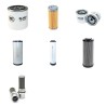 EUROCOMACH ES 57 ZT Filter Service Kit w/Kubota V 2607-DI Eng.