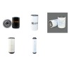 Filter Kit for Finlay Terex 683 Air Oil Fuel Filters with Deutz Engine YR 2007-