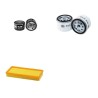 GEHL KL 155 Filter Service Kit Air Oil Fuel Filters w/Lombardini LDW 1204 Eng.
