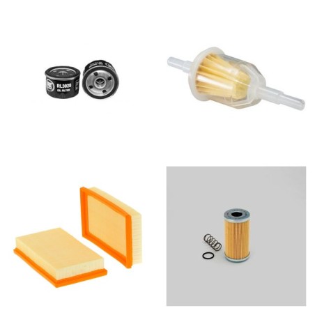 GEHL MB 138 Filter Service Kit w/Lombardini LDW 903 Eng.