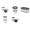 HAMM DV 2 Filter Service Kit w/Hatz 2M31H Eng.