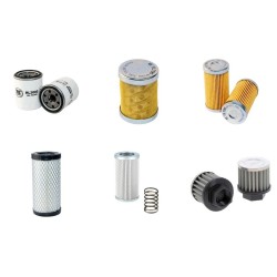 CASE CX17BZTS Filter Service Kit w/Mitsubishi L3E-W231KBS