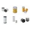 Filter kit for Case CX 17 B ZTS with Mitsubishi L3E-W231KBS Engine  YR 2009-