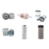 HAULOTTE HA 20 PX Filter Service Kit w/Deutz D 2011L04 Eng.   YR  2011-