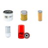 Hinowa VT1650 Filter Service Kit - Yanmar Engine