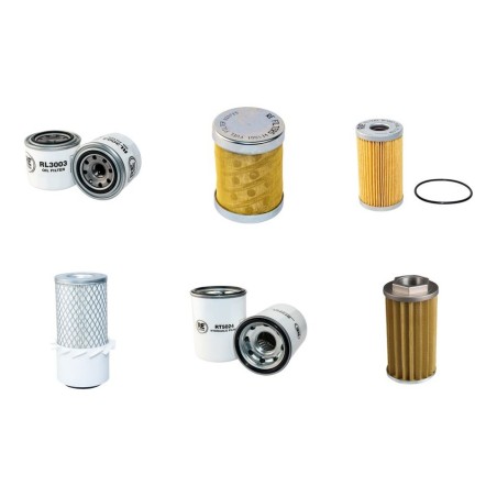 IHI 25NX Filter Service Kit - single air
