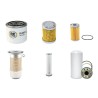 IHI 45J Filter Service Kit - double air