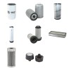 Filter kit for Case (Poclain) WX 145 with CNH Engine