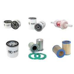 KAESER M 21 Filter Service Kit w/HATZ Eng.