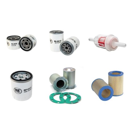 KAESER M 21 Filter Service Kit w/HATZ Eng.