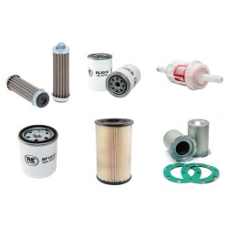 KAESER M 21 Filter Service Kit w/Lombardini 6LD561-2 Eng.