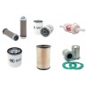 KAESER M 21 Filter Service Kit w/Lombardini 6LD561-2 Eng.
