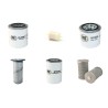Filter Kit for Kubota R 310 