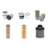 MANITOU M 2.26 HE HMV Filter Service Kit w/Perkins  Eng.