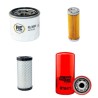MESSERSI M 16 BV Filter Service Kit w/Kubota Eng.