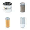 NEUSON 1503RD  Filter Service Kit Air Oil Fuel Filters w/Yanmar 3TNE68-ENSR Eng. SN  --AC 00303