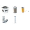 Neuson 3402RD 3402RDV  Filter Service Kit Air, Oil, Fuel Filters