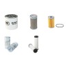Lifton 3501 Filter Service Kit Neuson 3501 Dumper w/ Kubota Eng
