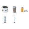 NEUSON 3503 Filter Service Kit Air Oil Fuel Filters w/Yanmar 4TNE88-ENSR Eng. SN   AD 01552