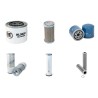 NEUSON 3800 Filter Service Kit w/Yanmar 4TNE88-NSW Eng. SN   38931001-