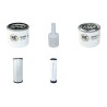 NEUSON 4001 Filter Service Kit Air Oil Fuel Filters w/Yanmar 4TNV88-KNSV Eng. SN   - AA41190D