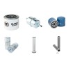 NEUSON 5001RD Filter Service Kit w/Yanmar 3TNE100NS Eng.