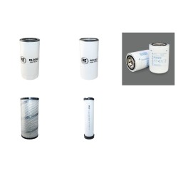 NEUSON 6001s Filter Service Kit Air Oil Fuel Filters w/Deutz