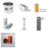 NEUSON TD 15  Filter Service Kit w/Yanmar 3TNE74-NSR3 Eng. SN   - AA0675N YR  2003-