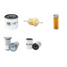 NIFTYLIFT TD 120 DAC Filter Service Kit w/Kubota Eng.